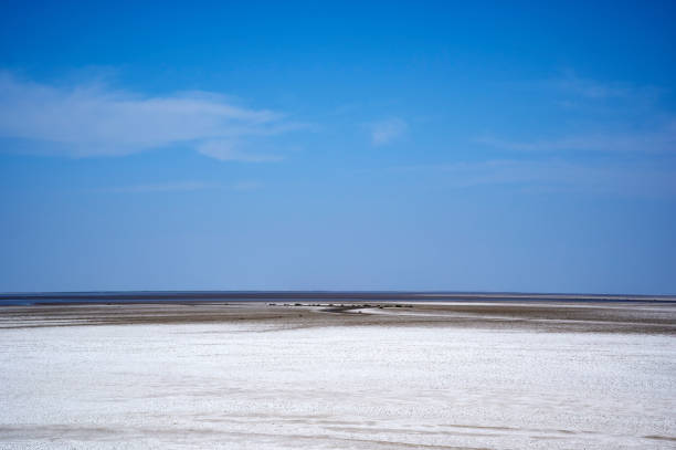 Rann of Kutch