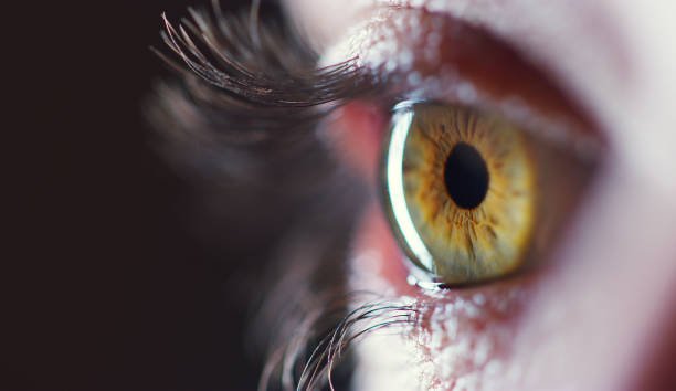 50 Amazing Facts about the Human Eye